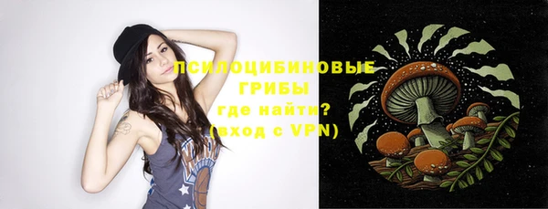 дурь Нея